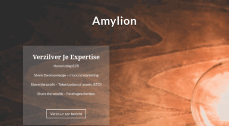 amylion-internetmarketing.com