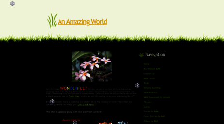 anamazingworld.synthasite.com