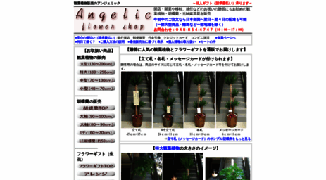 angelic-fs.com
