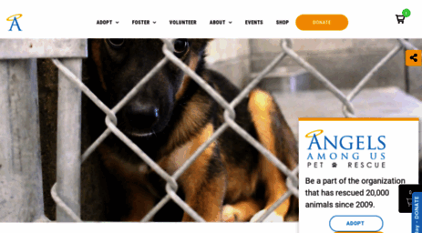 angelsrescue.org