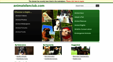 animalsfanclub.com