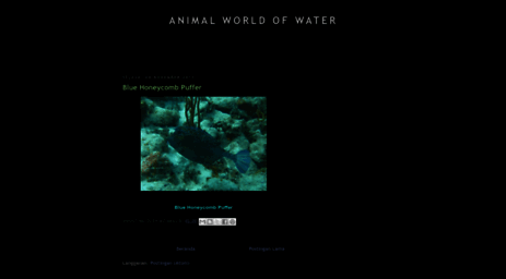 animalworldofwater.blogspot.com