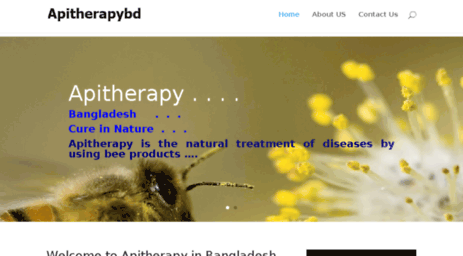 apitherapybd.com