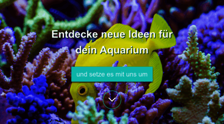 aquabee-aquarientechnik.de