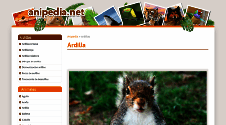 ardillas.anipedia.net