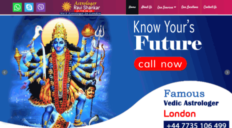astrologerravishankar.com