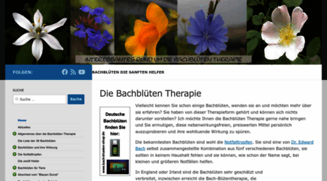 bach-blueten-therapie.de