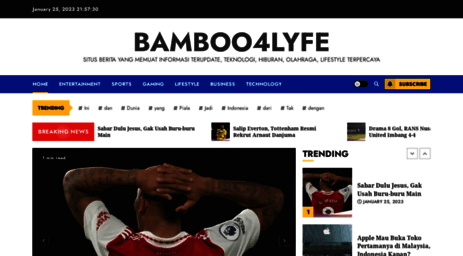 bambooforlife.com