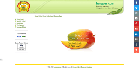 bangoes.bangsons.com