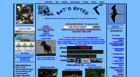 battaly.com