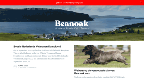 beanoak.com