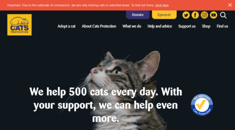 bedlington.cats.org.uk