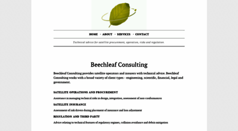 beechleafconsulting.com