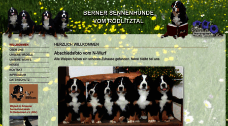 berner-sennenhundevomroedlitztal.de