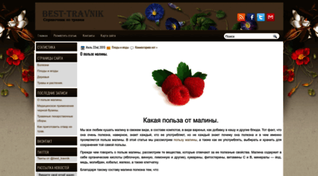 best-travnik.ru