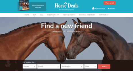beta.horsedeals.com.au