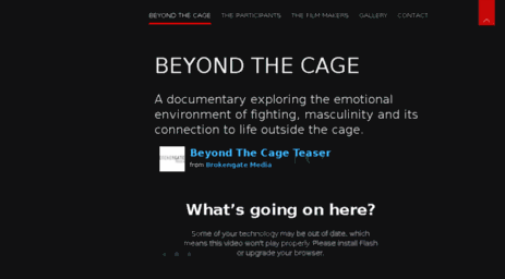 beyondthecage.co.uk