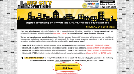 bigcityadvertiser.com