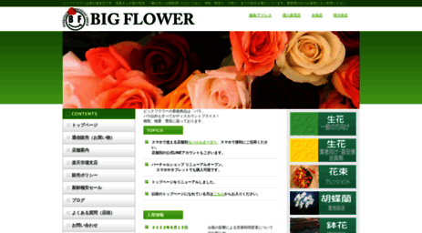 bigflower.co.jp