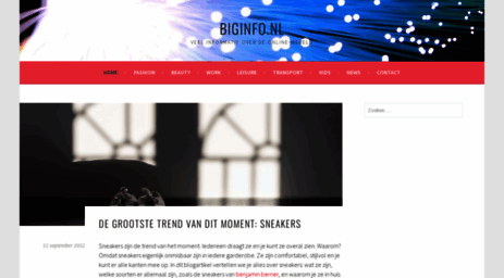 biginfo.nl