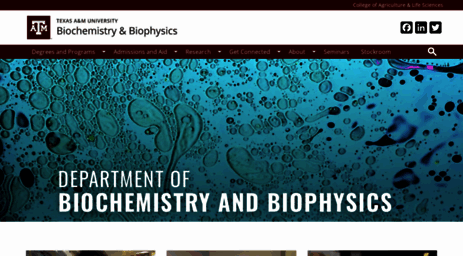 biochemistry.tamu.edu
