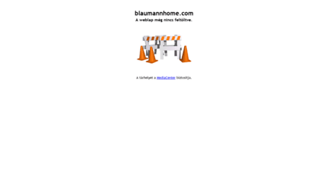 blaumannhome.com
