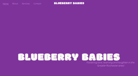 blueberrybabies.com