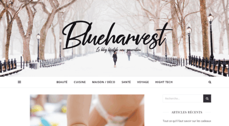 blueharvest.net