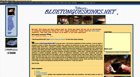 bluetongueskinks.net