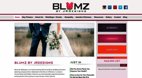 blumz.com