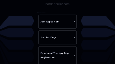 borderterrier.com