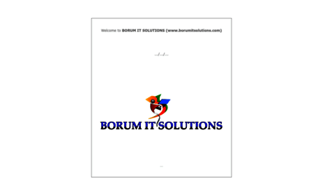 borumitsolutions.com