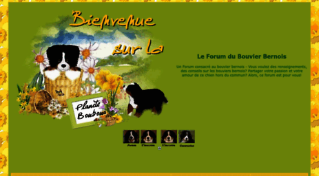 bouviers-bernois.forumactif.com