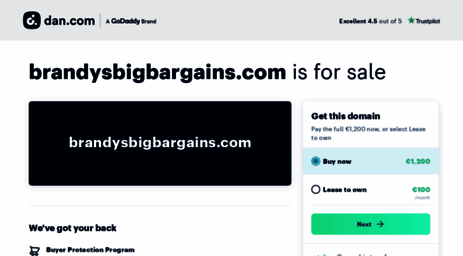 brandysbigbargains.com