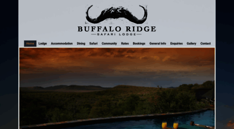 buffaloridgesafari.com