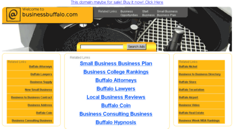 businessbuffalo.com