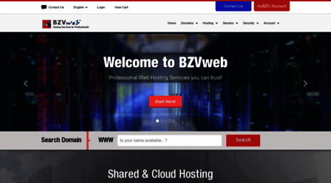 bzvweb.com