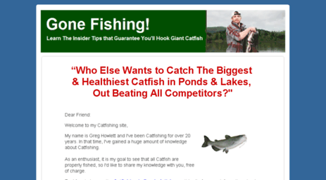 catfishinginpondstips.com