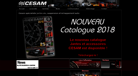 cesam.com