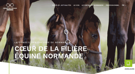 chevaux-haute-normandie.com