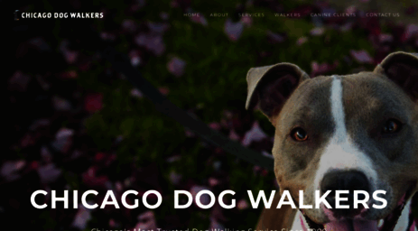 chicago-dogwalkers.com