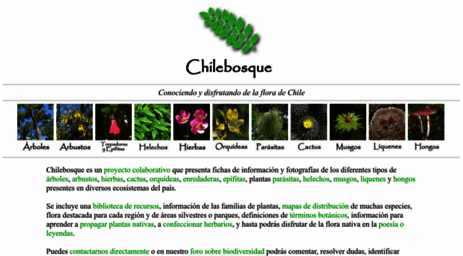 chilebosque.cl