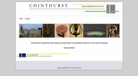 chinthurst-arts.com