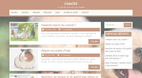 clubcde.com
