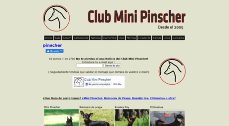 clubminipinscher.com