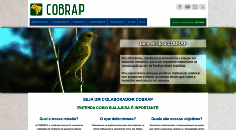 cobrap.org.br