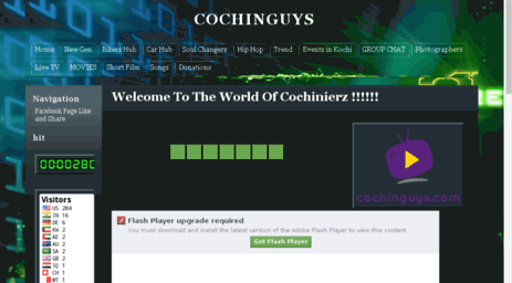 cochinguys.com
