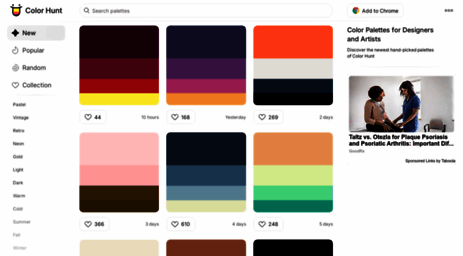 colorhunt.co