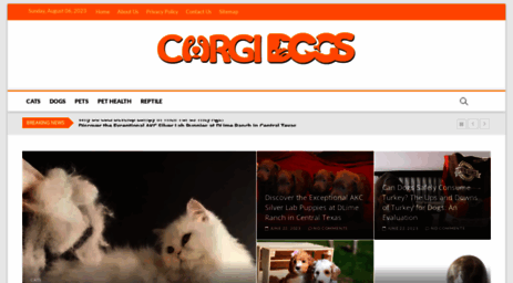 corgidogs.org