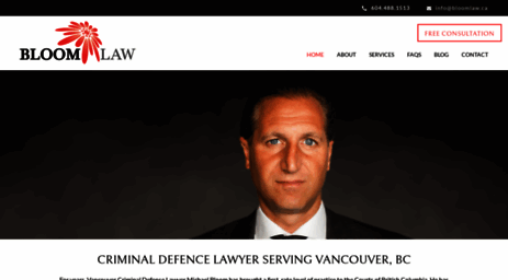 criminal-defence-lawyer.com